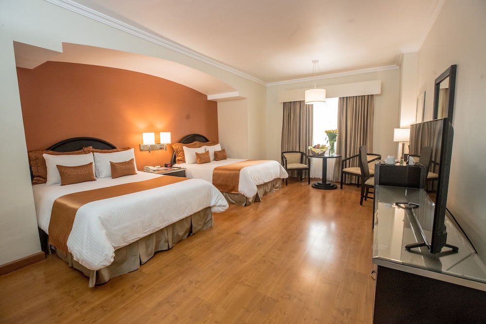 Hotel Plaza de Oro 9/43