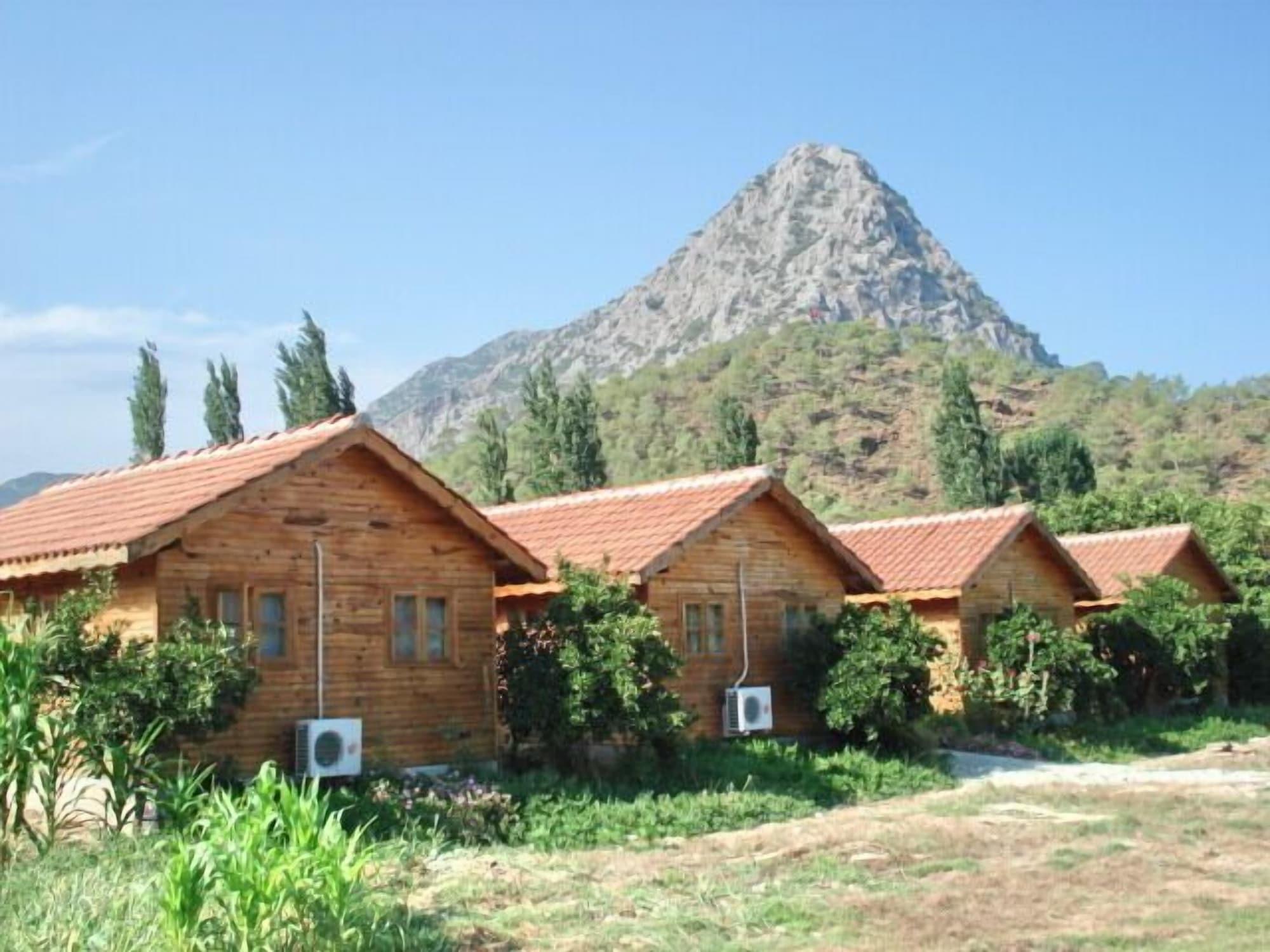 Portakal Bahcesi 4/35