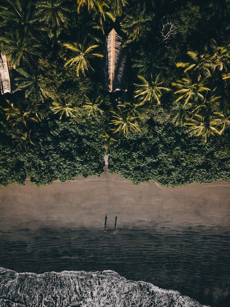 Isla Palenque Member of the Cayuga Collection 46/50