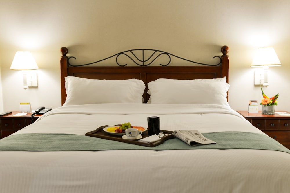 Hotel Plaza Del General 17/37