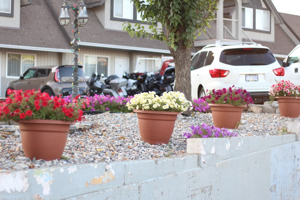Best Budget Inn and Suites Kamloops 29/46