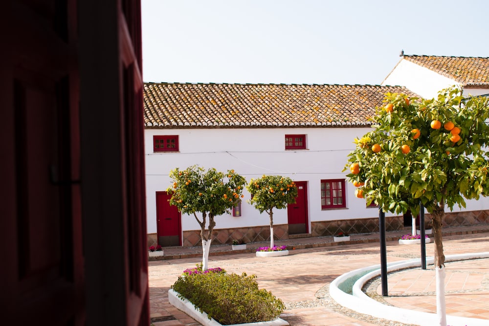 Cortijo del Arte 45/54