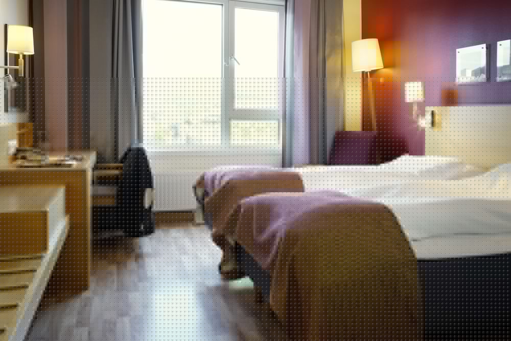 Scandic Solsiden Hotel 15/59