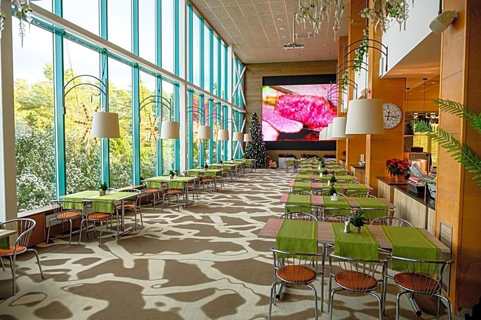 TOILA SPA HOTEL 37/58