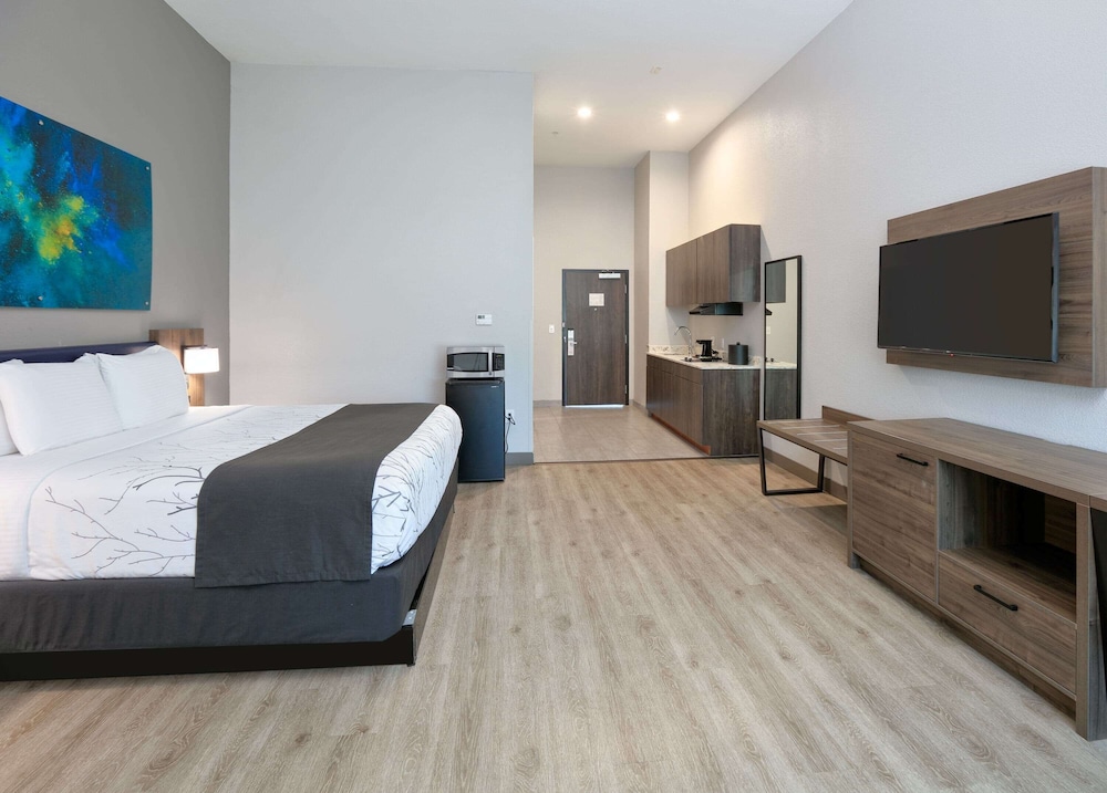 La Quinta Inn & Suites by Wyndham Dallas/Fairpark 18/40