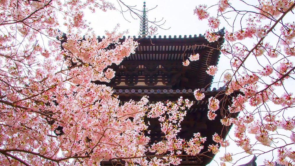 Temple Town Hotel WAQOO Horyuji 44/50