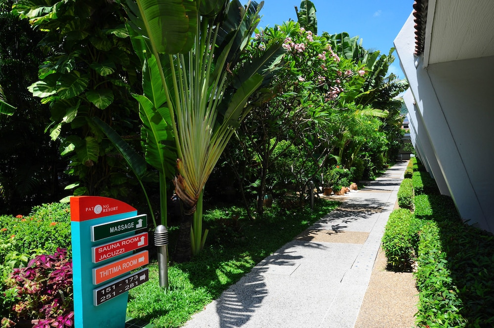 Patong Resort Hotel 64/66