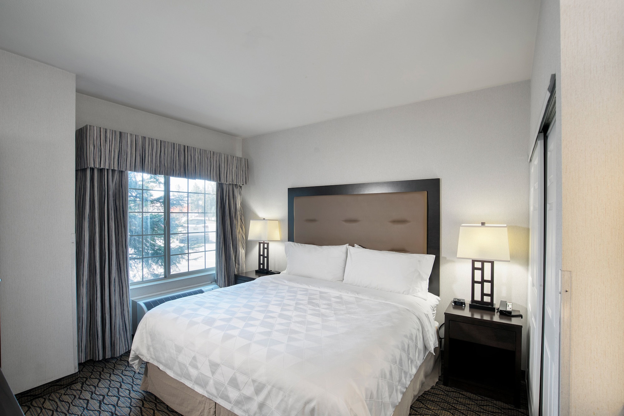 Suite, King Bed