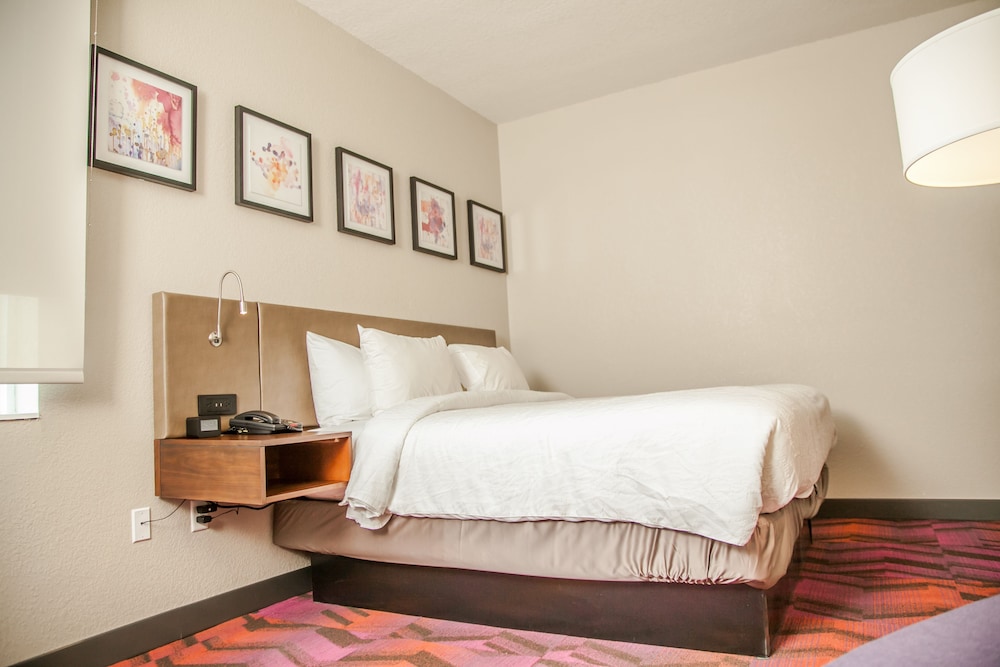 Hilton Garden Inn Tampa Suncoast Parkway 19/53