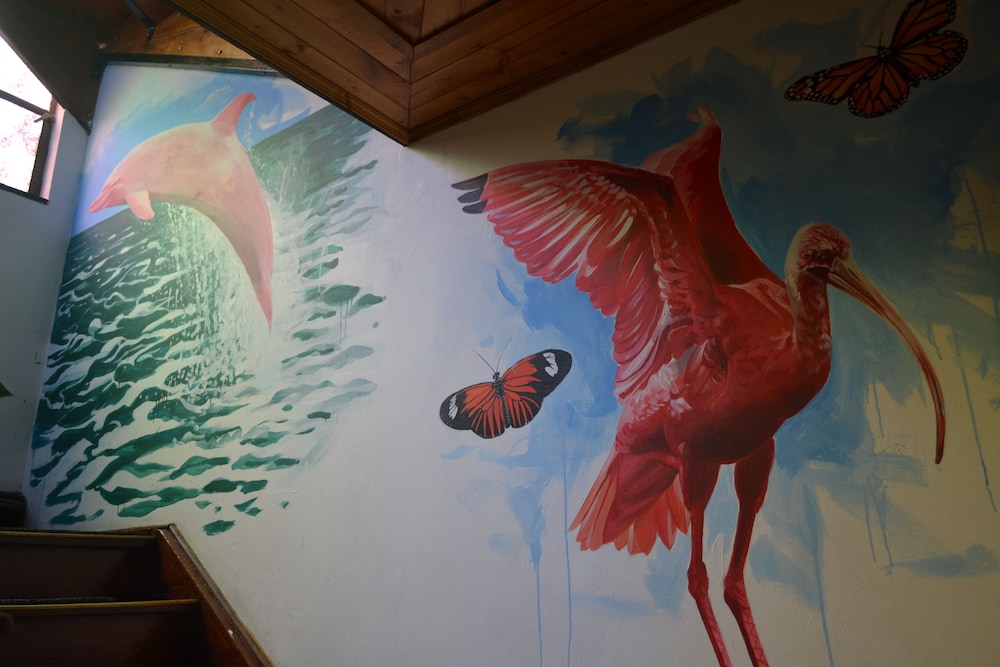 Ayenda Casa Candilejas酒店(Hotel Ayenda Casa Candilejas) 图片5