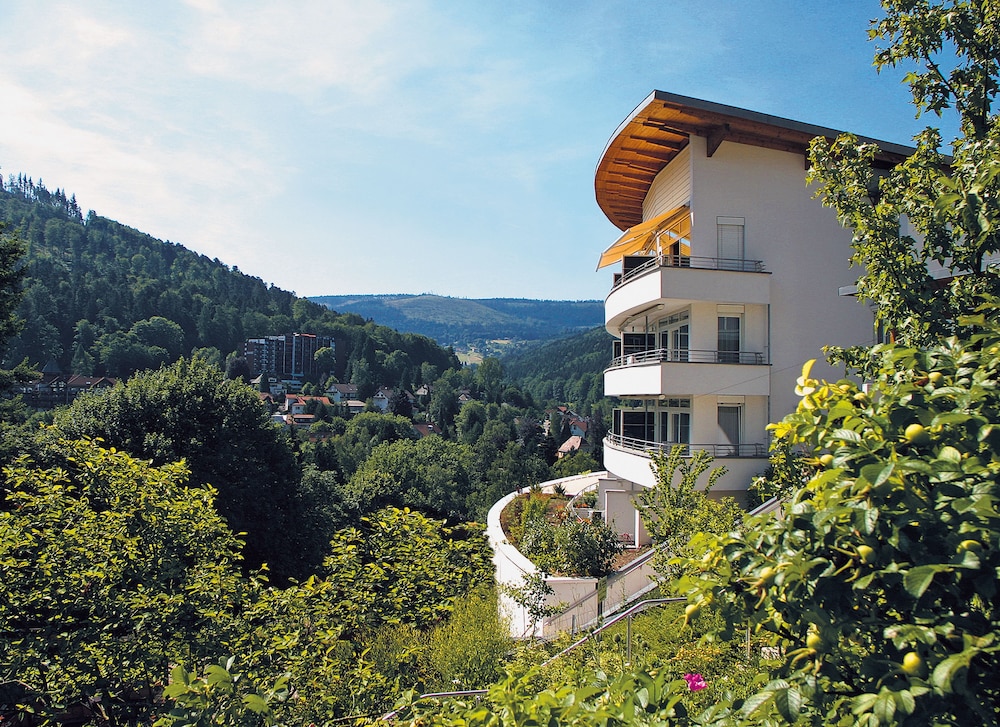 Schwarzwald Panorama 47/50