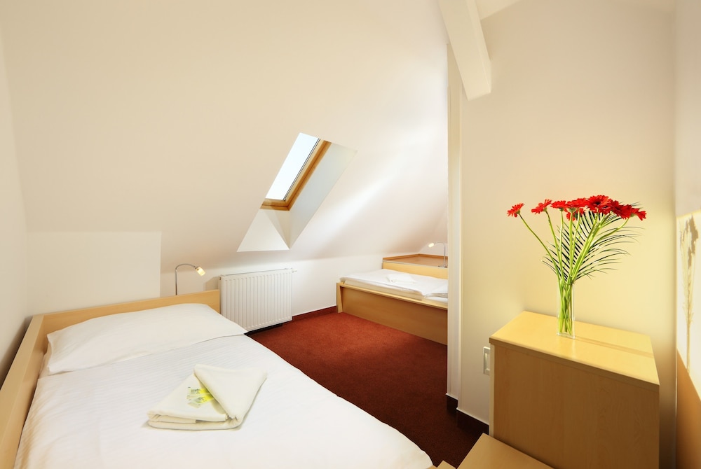 Penzion Krumlov - B and B Hotel 13/41