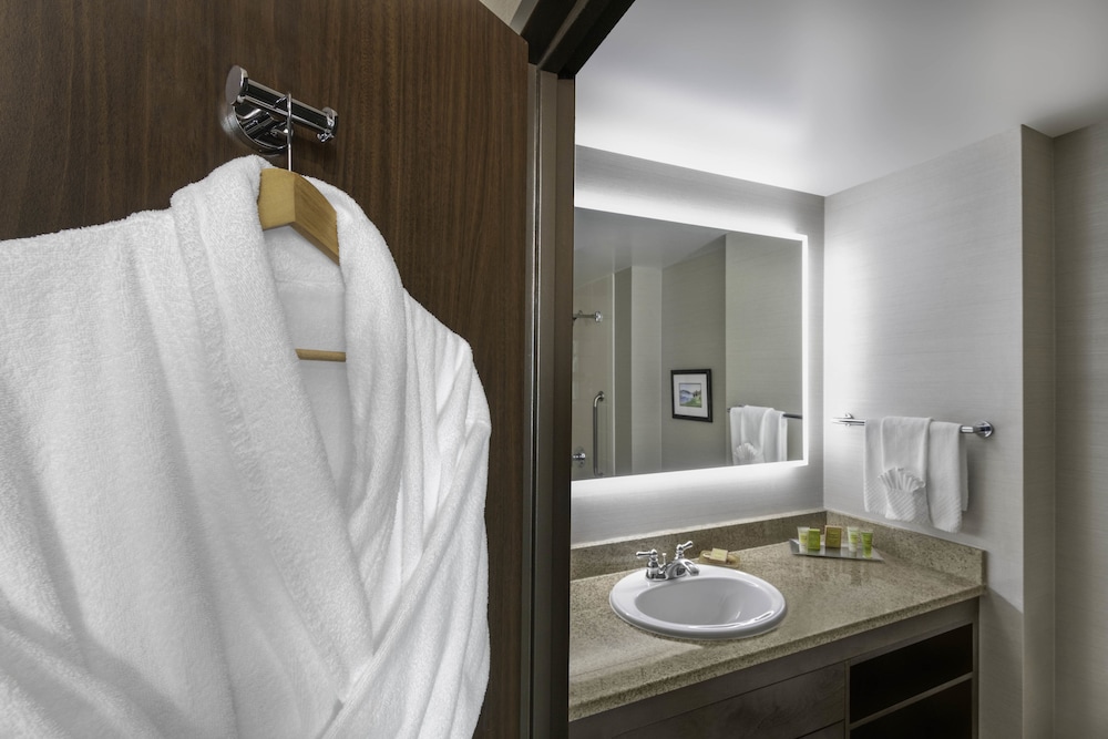 Hilton Vancouver Metrotown 14/51