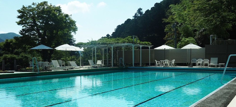 Fujiya Hotel 42/73
