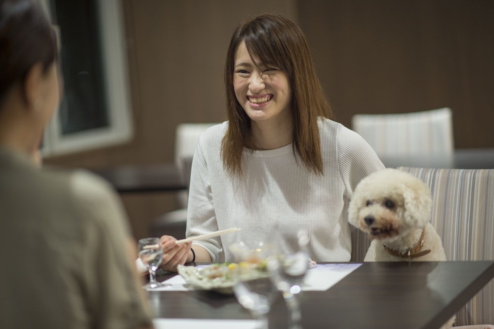 Izumigo Toba Dog Paradise Hotel 22/58