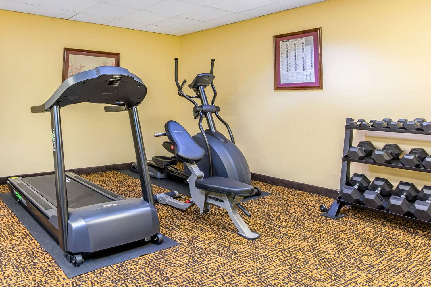 Quality Inn & Suites Montgomery East Carmichael 14/18