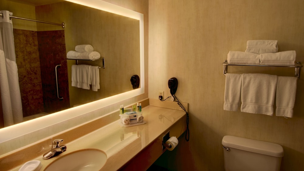 Holiday Inn Express Suites Sioux Center 27/68