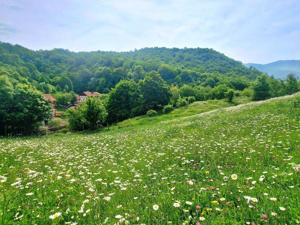 Ecokayan Boutique Hotel&Camping 44/50