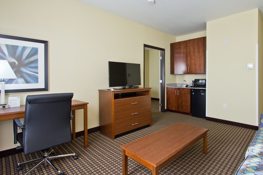 Holiday Inn Express Hotel Suites Denver East Peoria Street 44/59