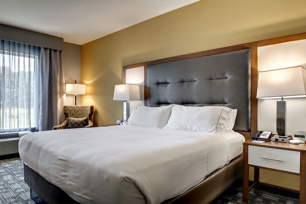 Holiday Inn Express Hotel And Suites Albany 23/67