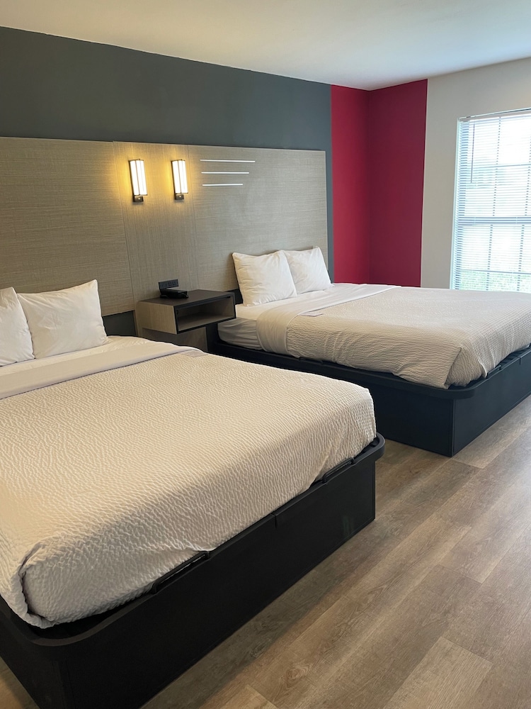 جناح بسريرين كوين