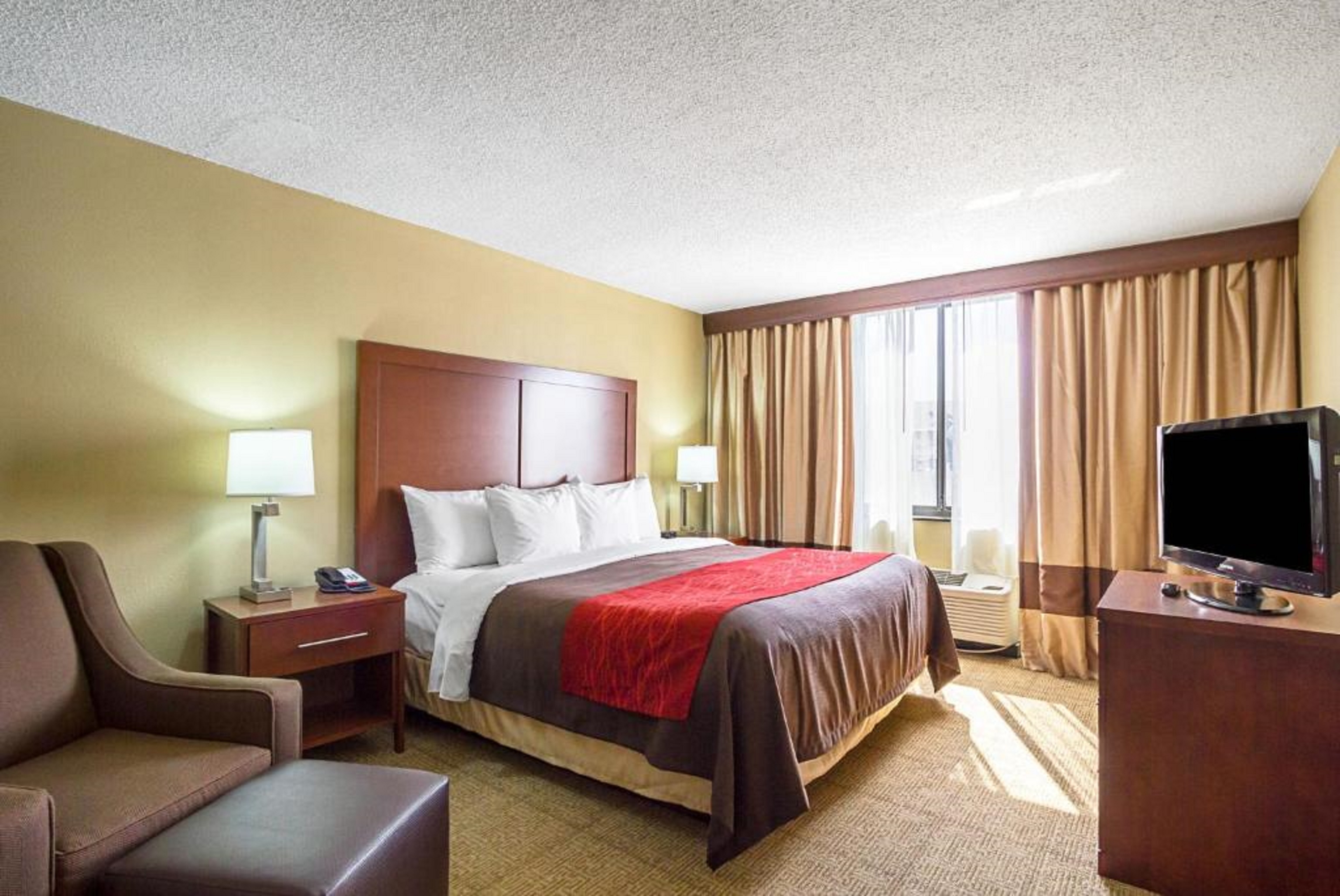 Room, King Bed