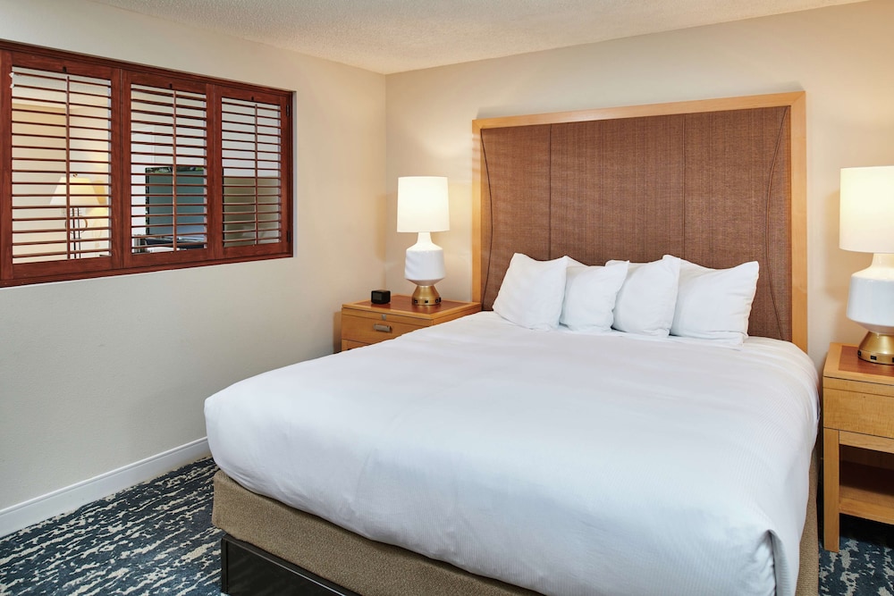 Suite, King Bed