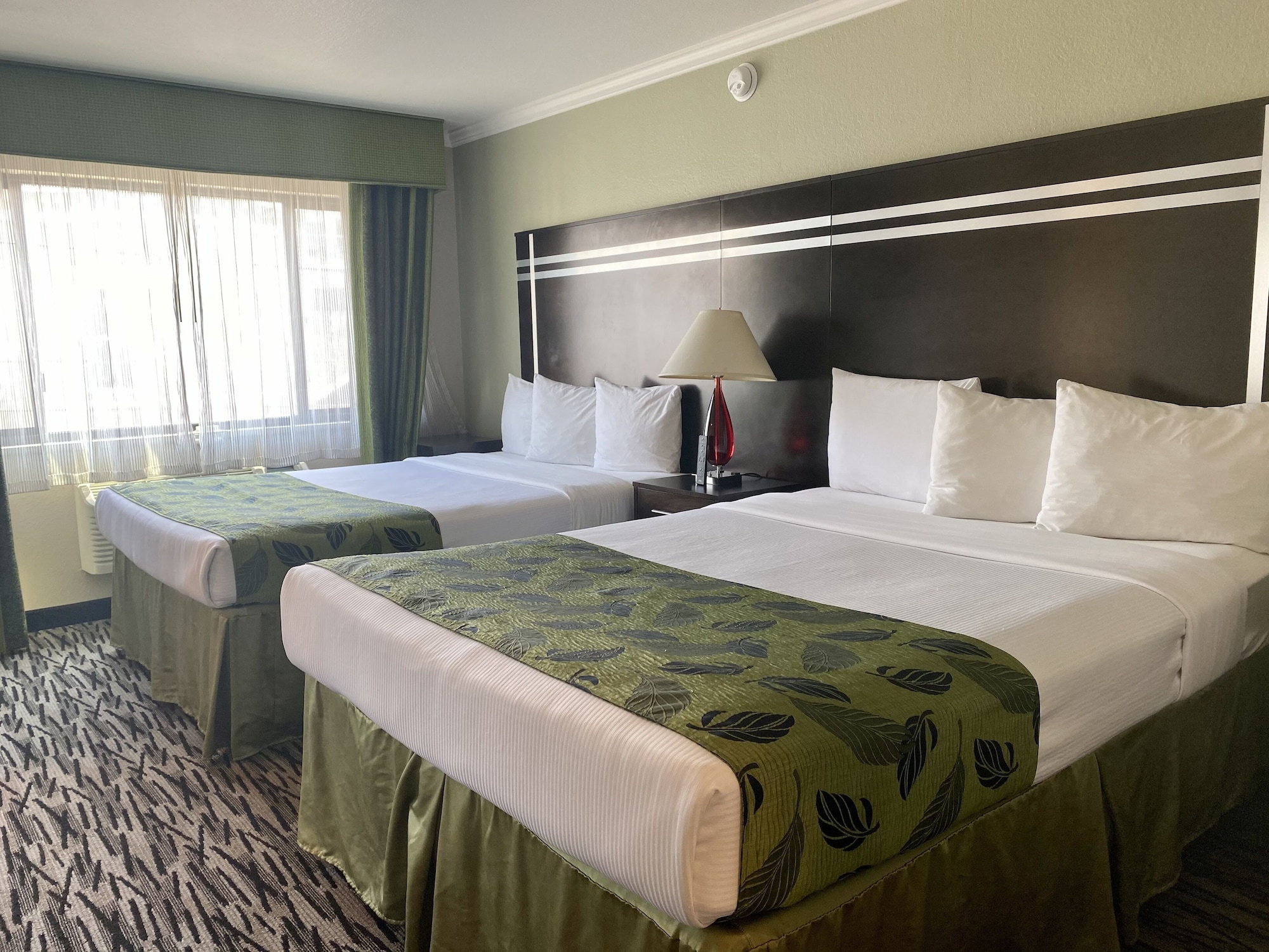 1 BEDROOM, FAMILY, STUDIO, SUITE