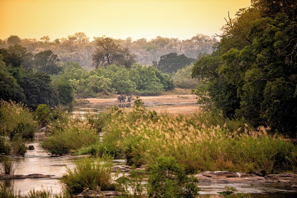 Rhino Walking Safaris 21/41