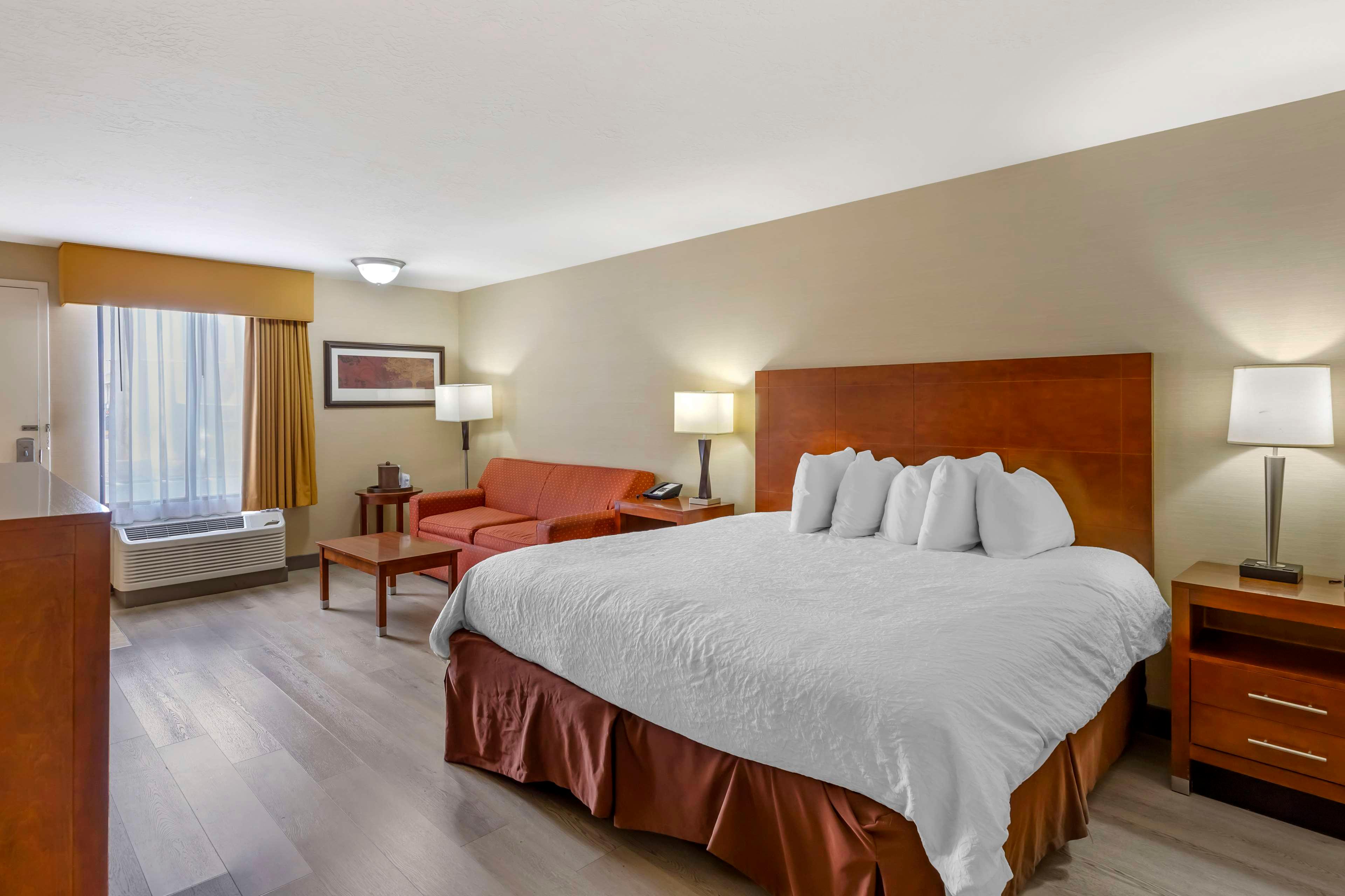 Flat, King Bed, Sofa, Pet Friendly