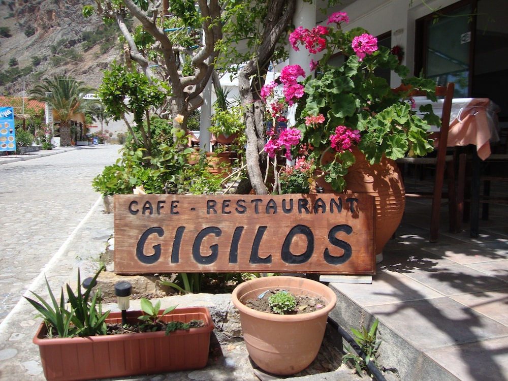 Gigilos 3/31
