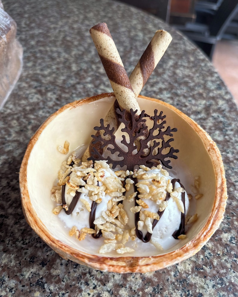 レッド ココナッツ ビーチ ホテル 写真4