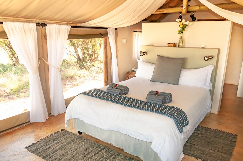 B'sorah Luxury Tented Camp 1/13