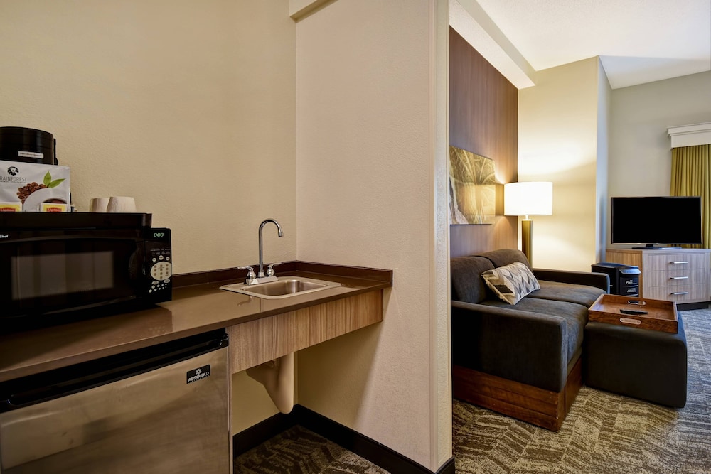 Springhill Suites Atlanta Kennesaw 36/38