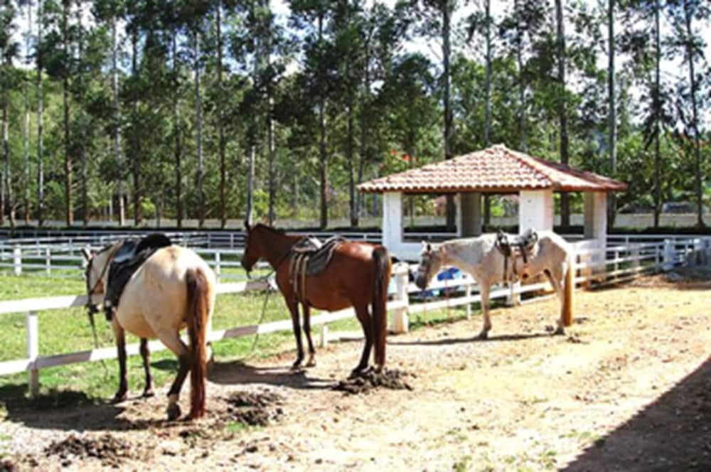 Resort Recanto do Teixeira - All Inclusive 61/61