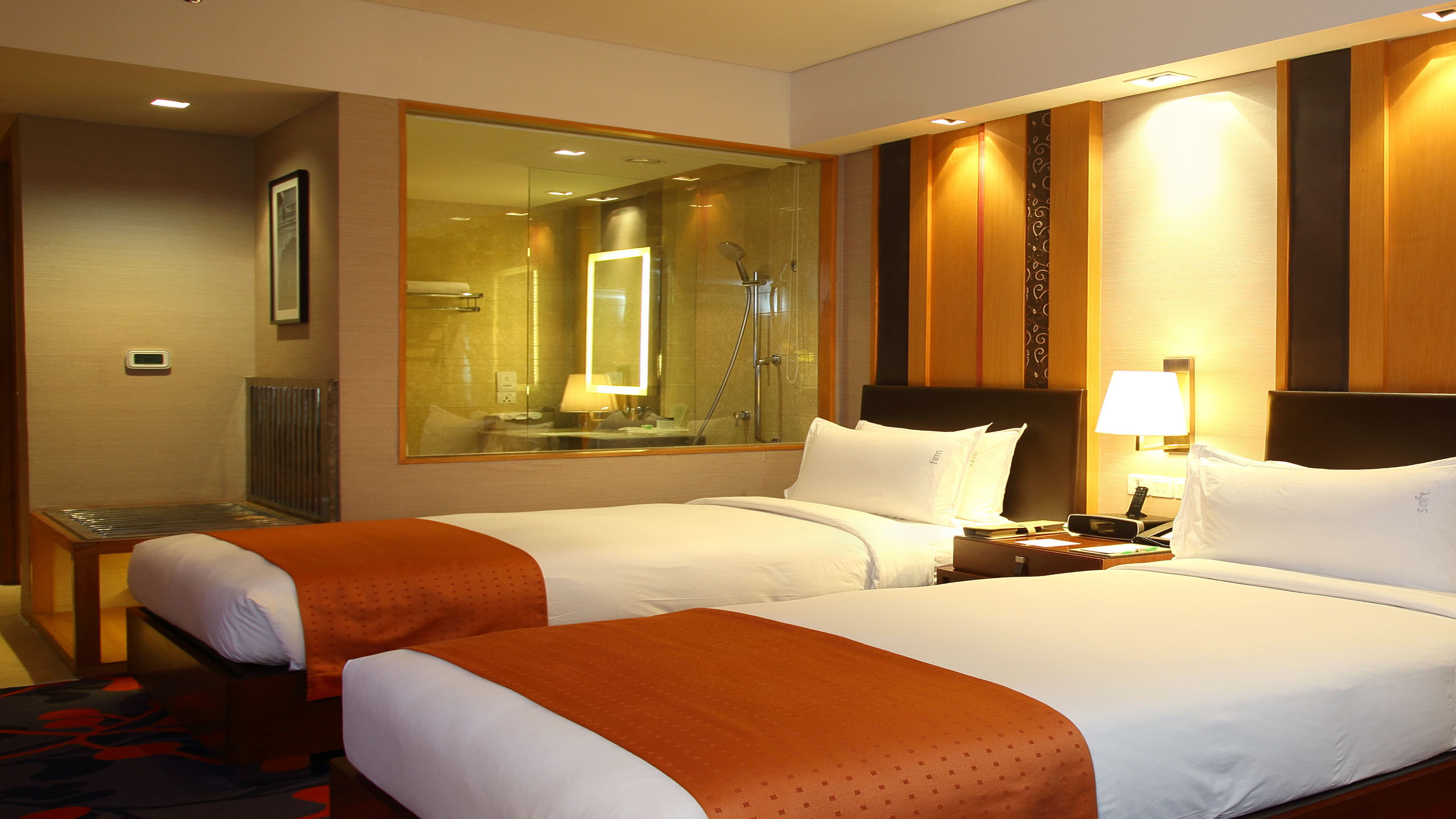Holiday Inn New Delhi Mayur Vihar Noida 25/74