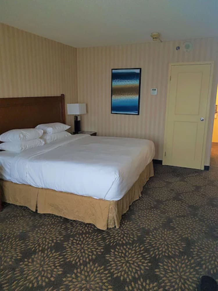 Doubletree By Hilton London Ontario 9/53