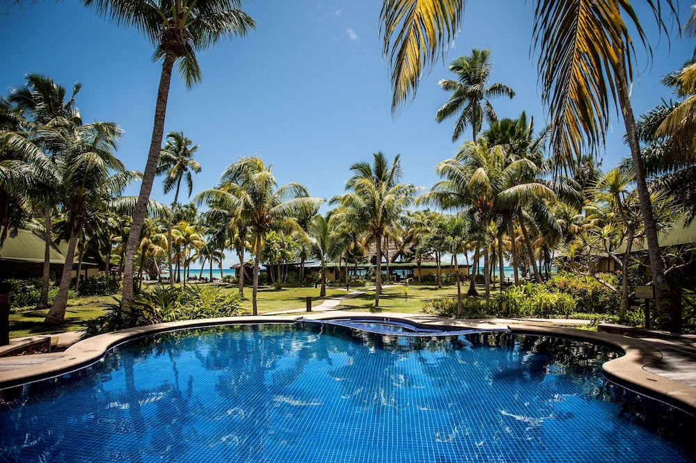 Paradise Sun