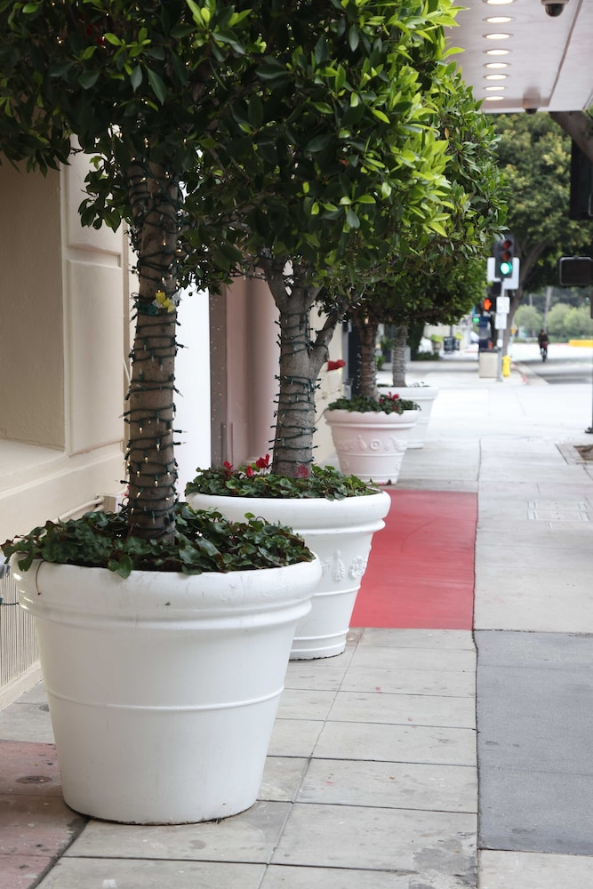 Hotel Carmel Santa Monica Hotel 51/52