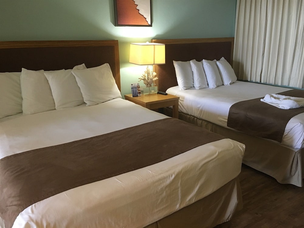 Beachview Inn Clearwater Beach 20/60