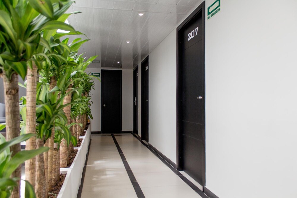 Hotel Metropolitano 8/44