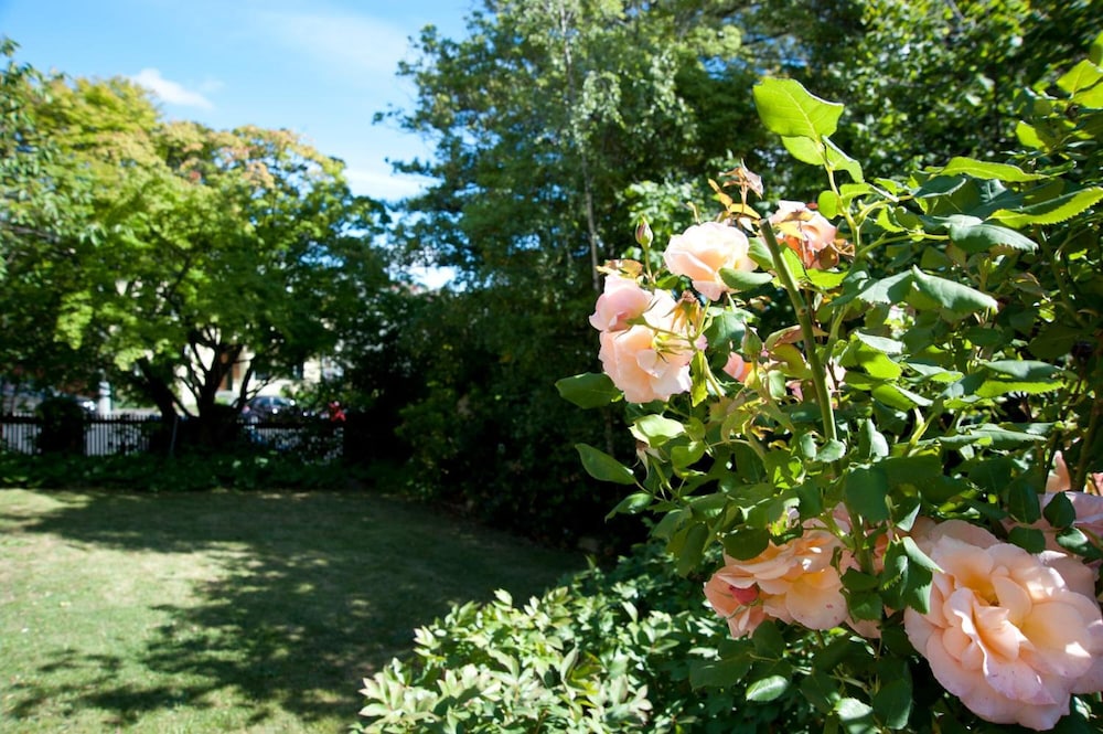 Lowena Cafe and Accommodation 31/41
