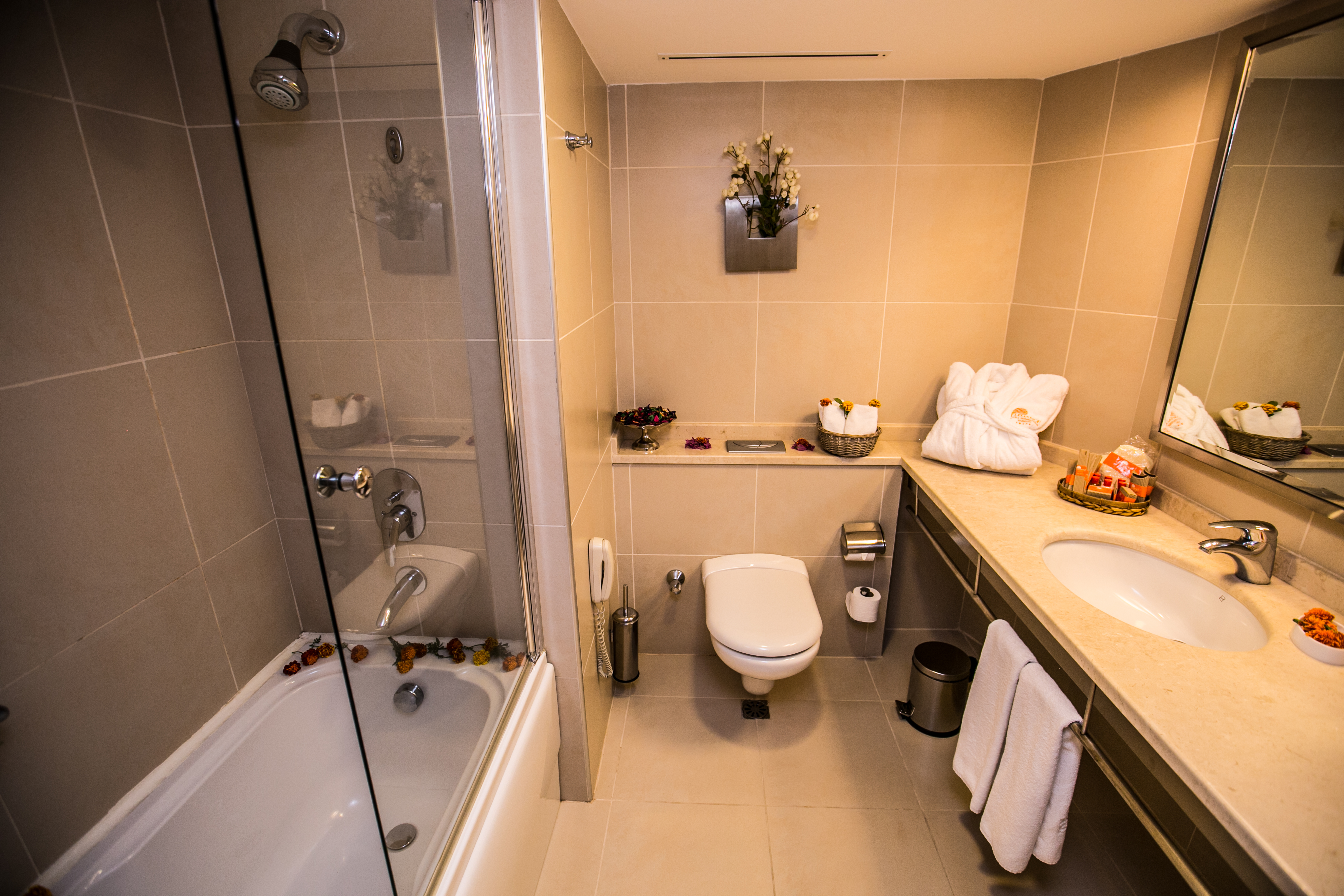 Room, Double Bed, Land View