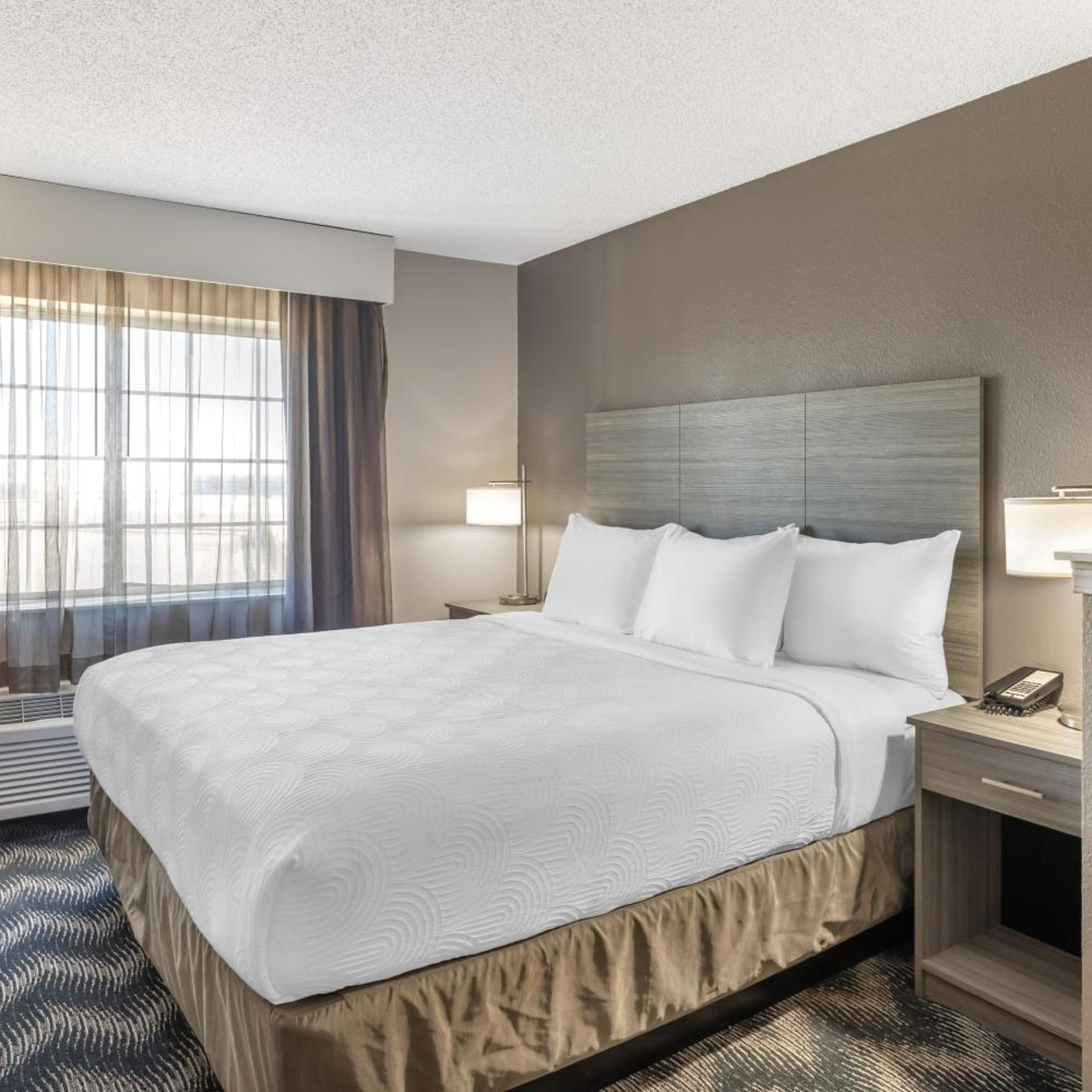 Efficiency, Suite, King Bed