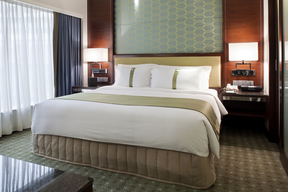 Holiday Inn Singapore Orchard City Centre 15/73