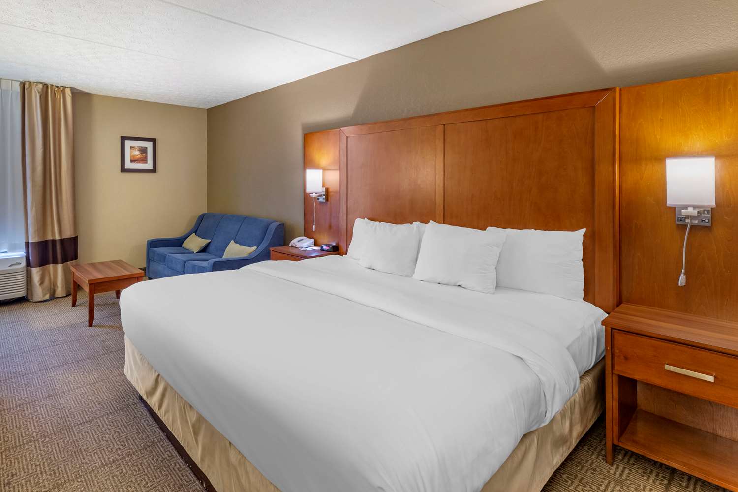 Room, King Bed