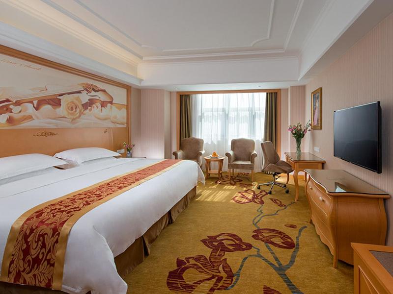 Vienna International Hotel (Shenzhen Guangqiao Road Tianliao) 18/34