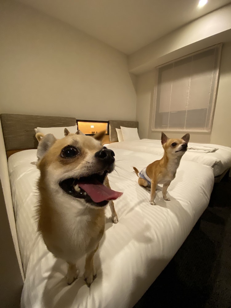 ICI Hotel Asakusabashi 43/55