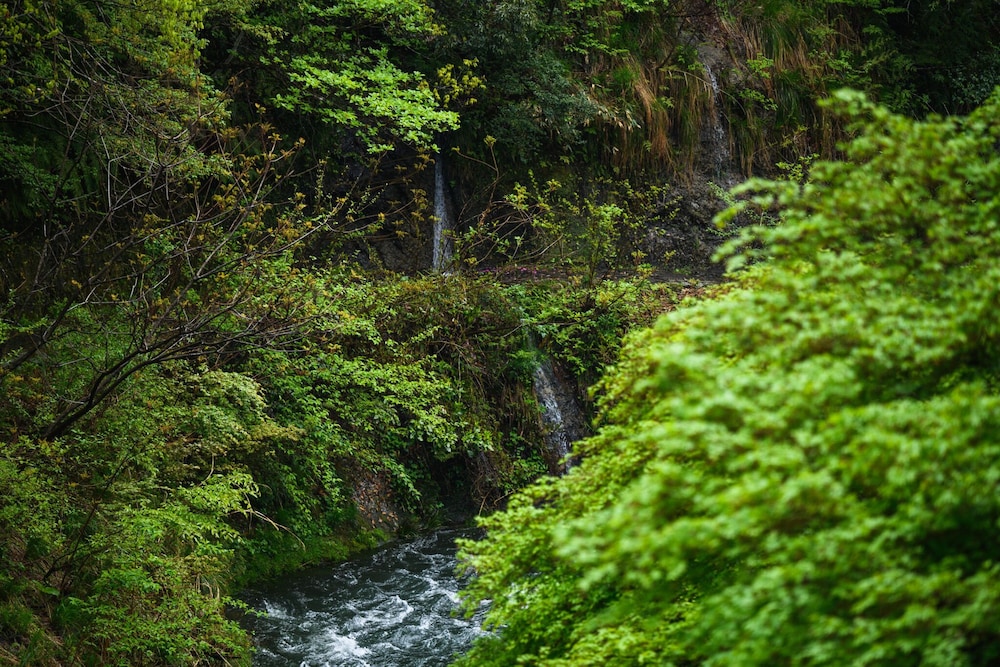 Yamanaka Onsen Shirasagiyu Tawaraya 42/52