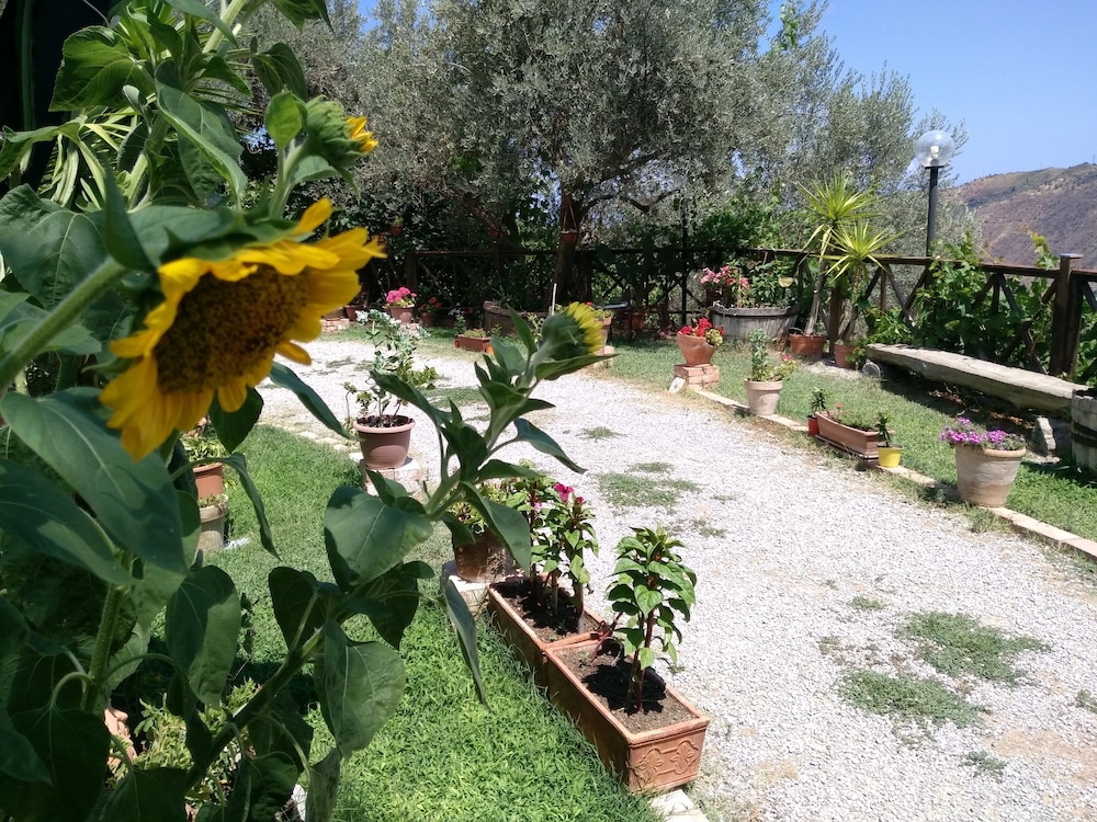 Agriturismo L'uliveto 38/50